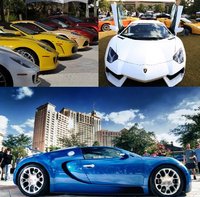 PHOTO (select to view enlarged photo)