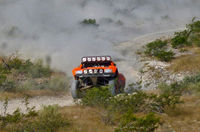 PHOTO (select to view enlarged photo)