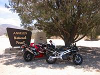 PHOTO (select to view enlarged photo)