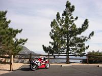 PHOTO (select to view enlarged photo)