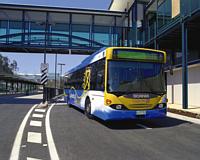 PHOTO (select to view enlarged photo)