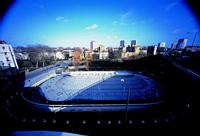 PHOTO (select to view enlarged photo)