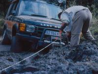 PHOTO (select to view enlarged photo)