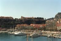 PHOTO (select to view enlarged photo)