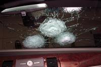 PHOTO (select to view enlarged photo)