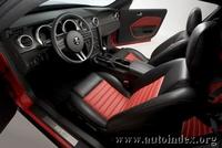 PHOTO (select to view enlarged photo)