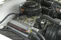 PHOTO (select to view enlarged photo)