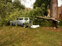 PHOTO (select to view enlarged photo)