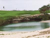 PHOTO (select to view enlarged photo)