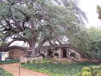 PHOTO (select to view enlarged photo)