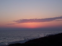 PHOTO (select to view enlarged photo)