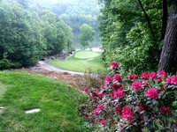 PHOTO (select to view enlarged photo)