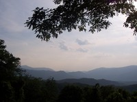 PHOTO (select to view enlarged photo)