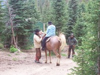 PHOTO (select to view enlarged photo)