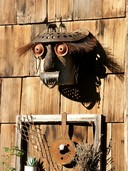 PHOTO (select to view enlarged photo)