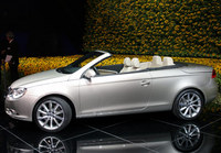 PHOTO (select to view enlarged photo)