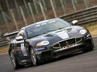 PHOTO (select to view enlarged photo)