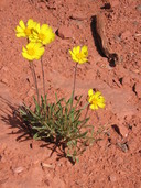 PHOTO (select to view enlarged photo)