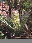 PHOTO (select to view enlarged photo)