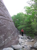 PHOTO (select to view enlarged photo)