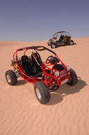 YamaBuggy (select to view enlarged photo)