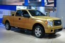 2009 Ford F150 (select to view enlarged photo)