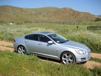 PHOTO (select to view enlarged photo)