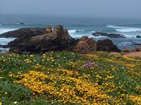 PHOTO (select to view enlarged photo)