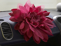 PHOTO (select to view enlarged photo)