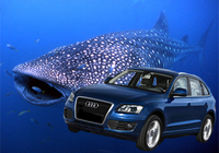 PHOTO (select to view enlarged photo)