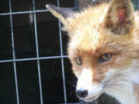 PHOTO (select to view enlarged photo)