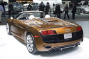 R8 Spyder 5.2 FSI
quattro by Bruce and Bradley Hubbard (select to view enlarged photo)