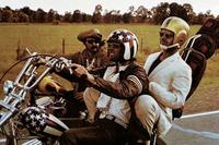 PHOTO (select to view enlarged photo)