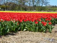 PHOTO (select to view enlarged photo)