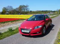 PHOTO (select to view enlarged photo)