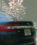 PHOTO (select to view enlarged photo)