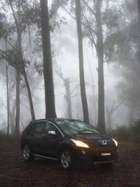 PHOTO (select to view enlarged photo)