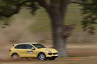 PHOTO (select to view enlarged photo)