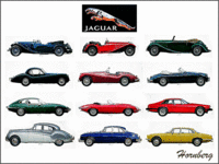 PHOTO (select to view enlarged photo)