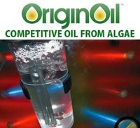 PHOTO (select to view enlarged photo)