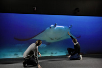 PHOTO (select to view enlarged photo)