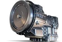 allsion (select to view enlarged photo)