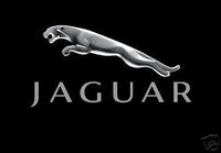 Jaguar (select to view enlarged photo)