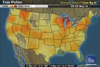 pollen (select to view enlarged photo)