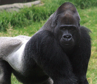 PHOTO (select to view enlarged photo)