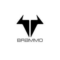 brammo (select to view enlarged photo)