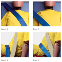 PHOTO (select to view enlarged photo)