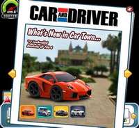 car and driver (select to view enlarged photo)