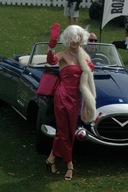 PHOTO (select to view enlarged photo)