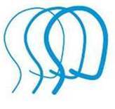 brain injury association